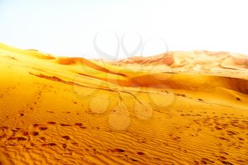 the empty quarter  and outdoor  sand  dune in oman old desert rub al khali 
