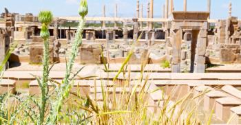 blur  in iran persepolis the old  ruins historical destination monuments and ruin
