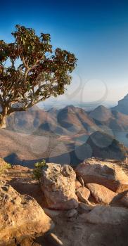 blur in swaziland     mlilwane wildlife  nature  reserve mountain and tree