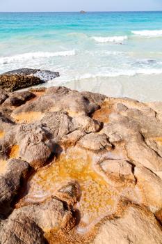  relax near sky in oman coastline sea ocean  gulf rock and beach  salt