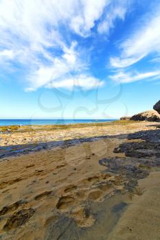 white coast lanzarote  in spain   beach  stone water  and summer 