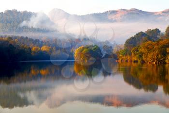 in swaziland the mlilwane wildlife sanctuary and his lake near tree and fog