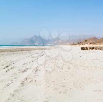 near sandy beach sky  palm   and mountain in oman arabic sea   the hill 