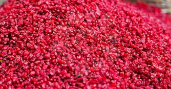 in iran factory of dried cranberries lots of vitamin and fresh nutrition