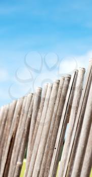 blur  in  philippines  lots bamboo stick for a natural fence and cloudy sky