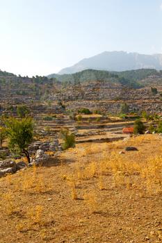     the    hill in asia turkey   selge old architecture ruins and nature 