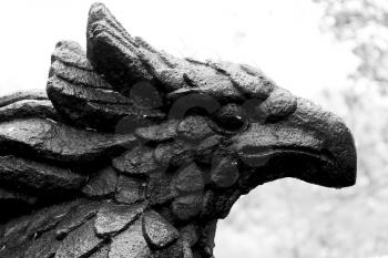 in the white sky a bronze  statue of eagle head  bokeh background