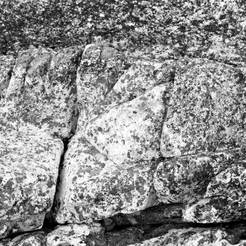 blur  in south africa close up of the coastline stone  abstract  texture background