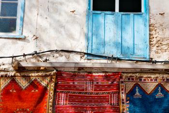 blue window in morocco africa old construction and brown wall red carpet  