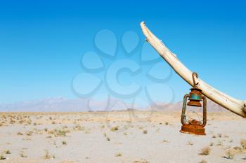 in iran blur old dead tree in the empty desert of persia lamp oil on branch