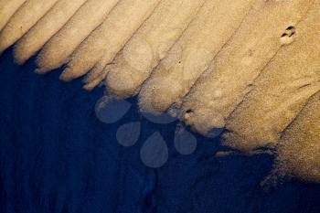 in lanzarote  spain texture abstract of a  dry sand and the beach 
