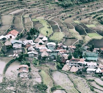 blur  in  philippines  terrace field for coultivation of rice  from banaue unesco site 
