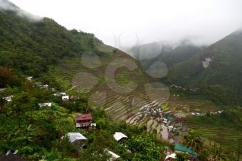 blur  in  philippines  terrace field for coultivation of rice  from banaue unesco site 
