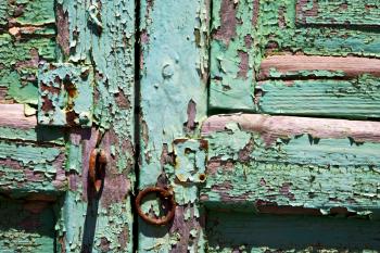 abstract  spain canarias brass brown knocker in a green closed wood  door  lanzarote 
