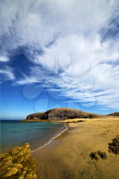 coastline  in lanzarote  spain sky cloud beach  water and summer 
