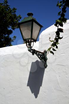 plant spain street lamp a bulb in the blue sky wall arrecife teguise lanzarote 
