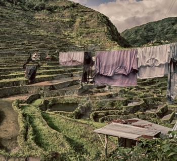 blur  in  philippines  terrace field for coultivation of rice  from banaue unesco site 
