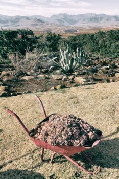 in lesotho africa the wheelbarrow near plant and cactus like nature concept