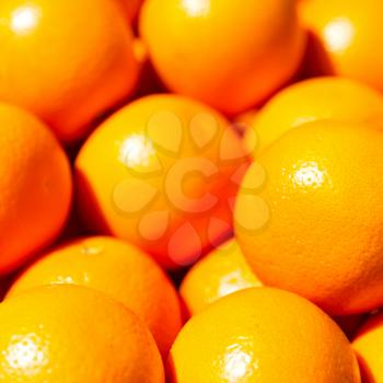 in the market lost of fresh orange like healty food concept