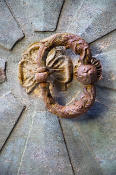 brass brown knocker and wood  door castiglione olona varese italy
