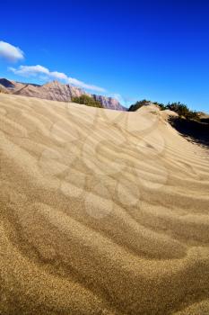 abstract yellow dune beach  hil and mountain in the   lanzarote spain 
