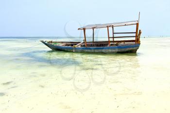 zanzibar beach  seaweed in indian ocean tanzania       sand isle   sky and boat
