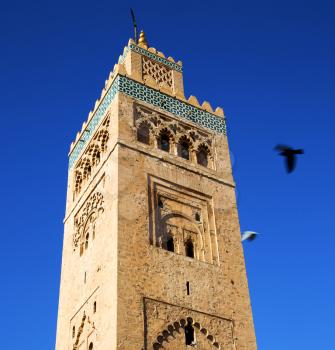 in maroc africa   minaret and the blue  sky