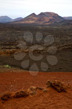 volcanic timanfaya  red rock stone sky  hill and summer in los volcanes lanzarote spain plant flower bush
