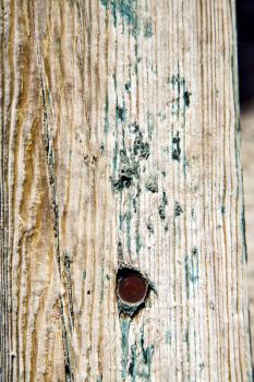 stripped paint in the blue  wood door      and rusty      nail