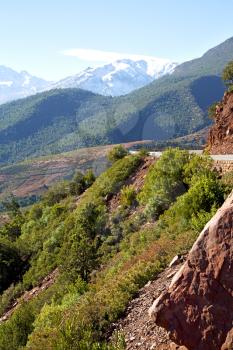 dades valley in atlas moroco   africa ground tree  and nobody