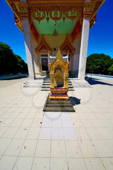 kho samui bangkok in thailand incision of the buddha gold  temple