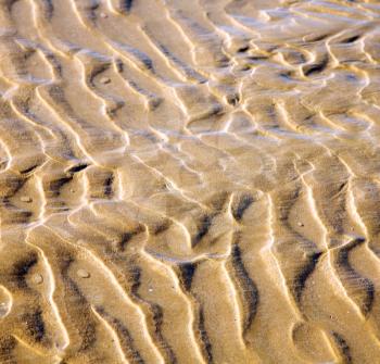 morocco   in africa brown coastline wet sand beach near atlantic ocean