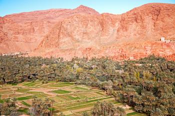  in todra gorge morocco africa and  village