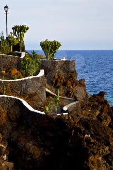 cactus street lamp chain hill coastline lanzarote  in spain musk pond beach  water   and summer 
