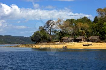 sail house cabin  people  river   palm  rock stone branch hill lagoon and coastline in madagascar nosy be