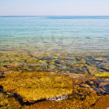 stone in the coastline sunrise and light ocean        white sky