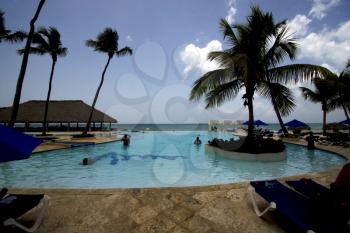  republica dominicana pool tree palm  peace marble and relax near the caribbean beach
