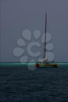  ocean water catamaran  boat yacht and summer in   republica dominicana 