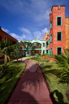 mexico bush  window and red house  in playa del carmen