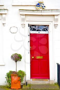 notting hill in london england old suburban and antique      wall door 