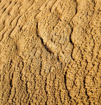 the brown sand dune in the sahara morocco desert 