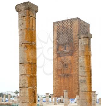 chellah    in morocco africa the old roman deteriorated monument and site
