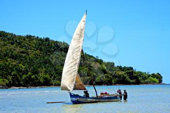 pirogue beach seaweed in indian ocean madagascar  people   sand isle  sky and rock