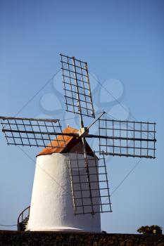 cactus windmills in  isle of lanzarote africa spain   and the sky 
