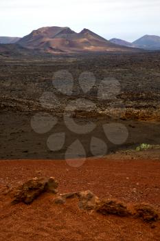 volcanic timanfaya  red rock stone sky  hill and summer in los volcanes lanzarote spain plant flower bush
