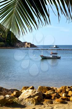 asia in  kho phangan thailand bay isle   beach    rocks pirogue palm and south china sea 