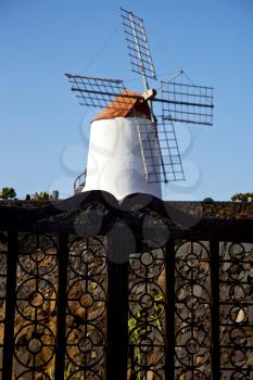 cactus windmills in  isle of lanzarote africa spain   and the sky 
