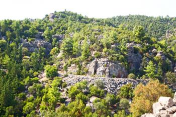     the    hill in asia turkey selge old architecture ruins and nature 