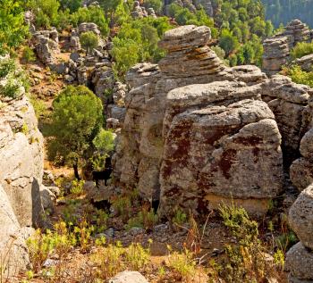     the    hill in asia turkey selge old architecture ruins and nature 