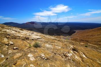  bush timanfaya  in los volcanes volcanic rock stone sky  hill and summer  lanzarote spain lagoon
